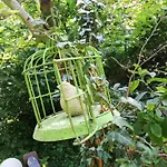 Yourte Tatane Gospodarstwo wiejskie *