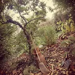 Yourte Tatane Gospodarstwo wiejskie