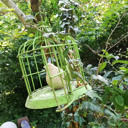 Yourte Tatane Landsted *