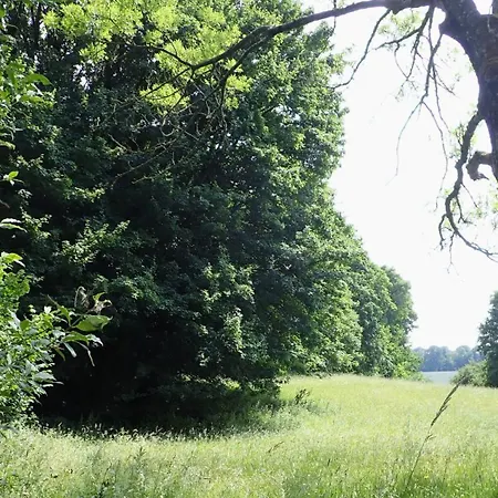 Yourte Tatane * Gerpinnes