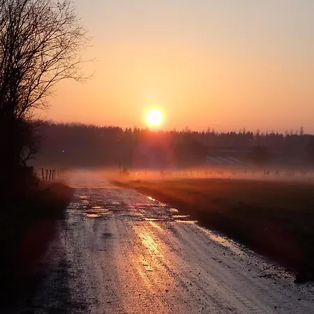 Yourte Tatane * Gerpinnes