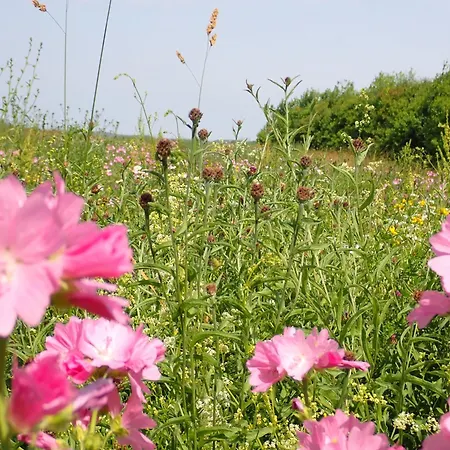 Country house Yourte Tatane