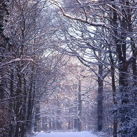 Yourte Tatane Gerpinnes