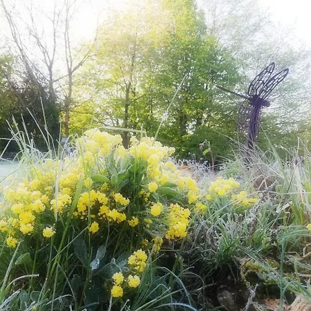 Landsted Yourte Tatane