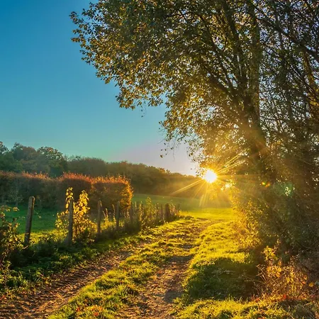 Yourte Tatane * Gerpinnes