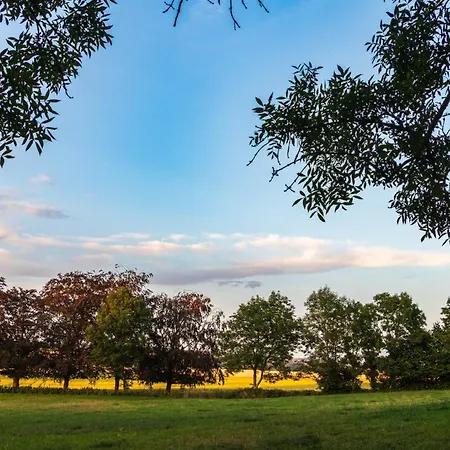 Yourte Tatane Gerpinnes