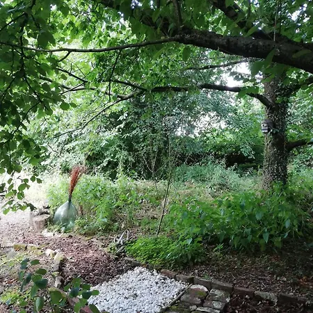 Yourte Tatane * Gerpinnes