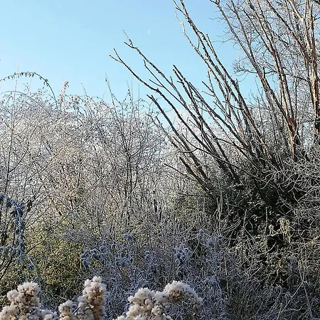 Landsted Yourte Tatane Gerpinnes