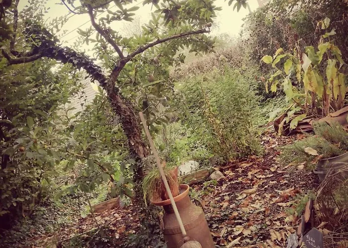 Yourte Tatane Casa rural