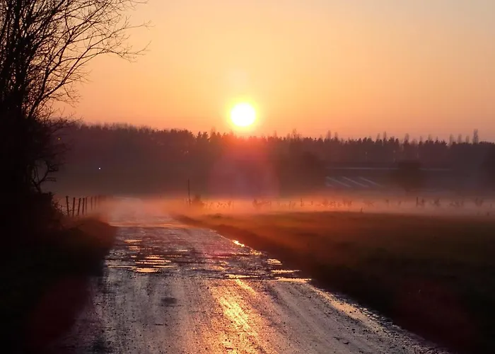 Yourte Tatane * Gerpinnes