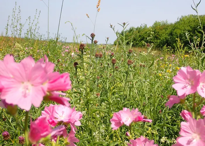 Casa rural Yourte Tatane