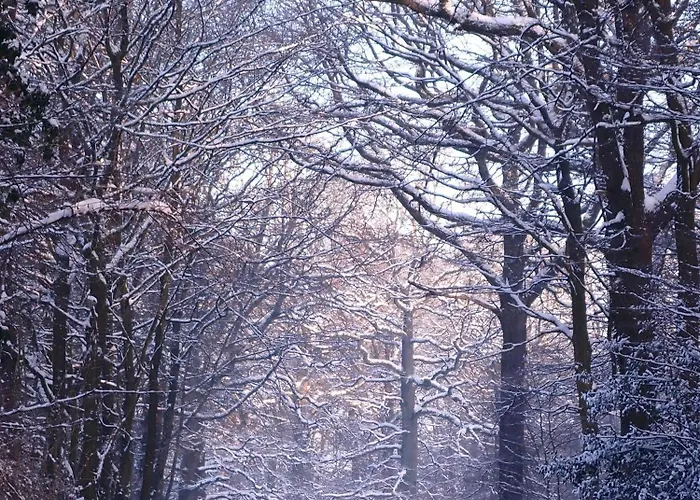 Yourte Tatane Gerpinnes