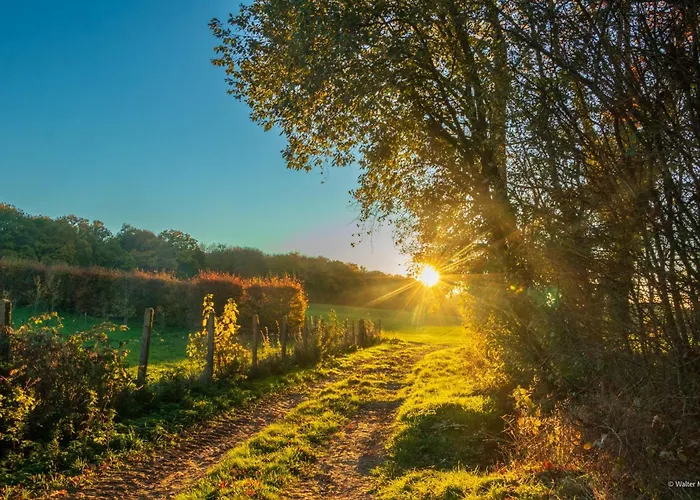 Yourte Tatane * Gerpinnes