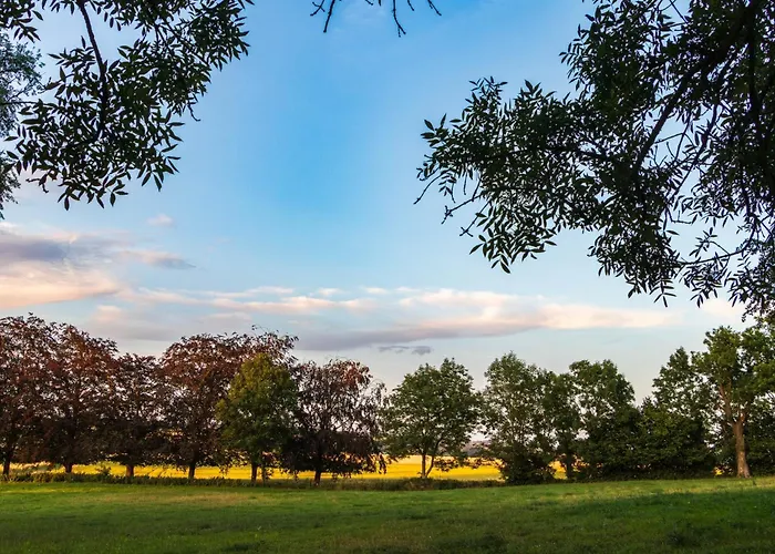 Yourte Tatane Gerpinnes