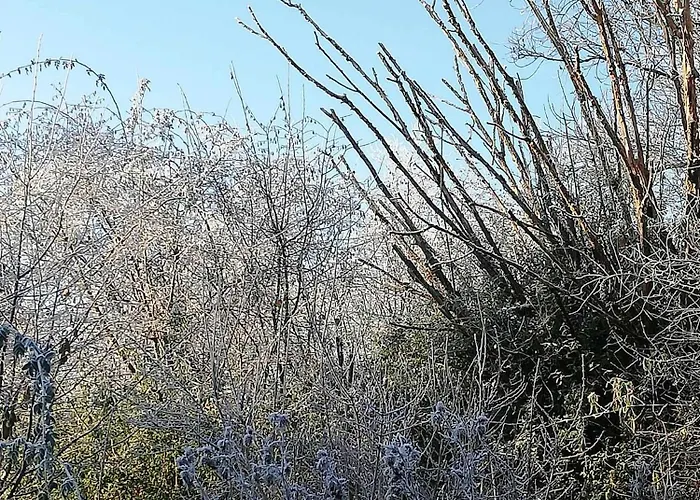 Casa rural Yourte Tatane Gerpinnes